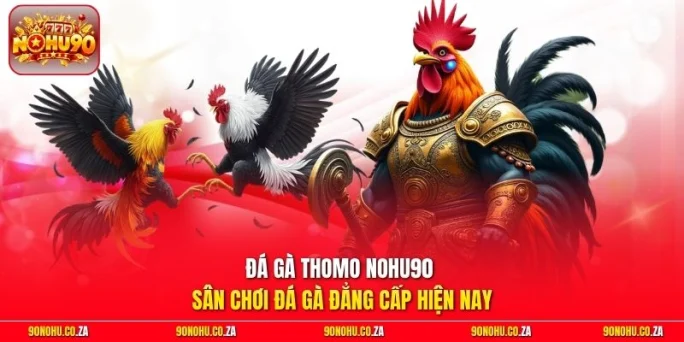 Đá gà Thomo Nohu90 - Sân Chơi Đá Gà Đẳng Cấp Hiện Nay